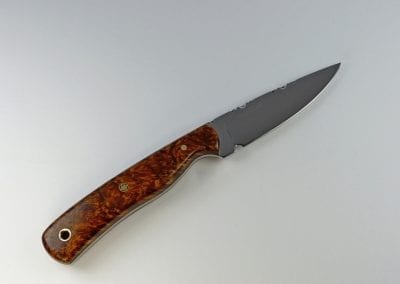 Burled elm everyday carry knife