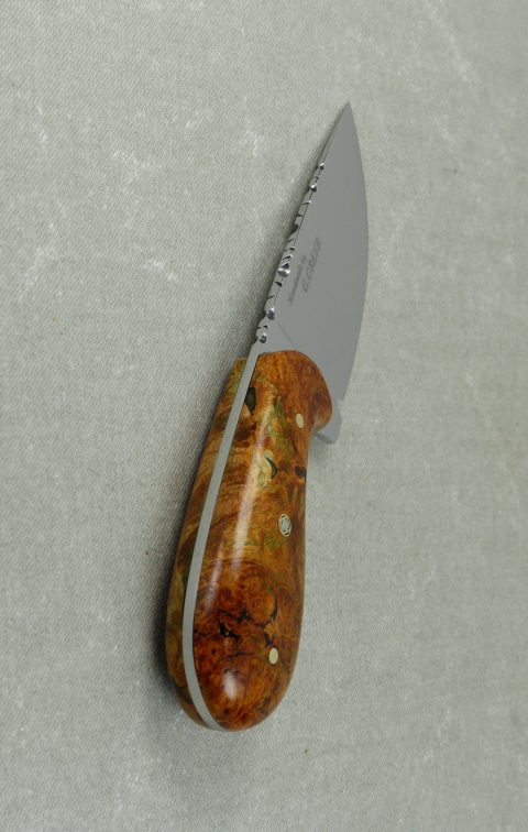 W36 Top view of tang and filework on burled elm palm skinner